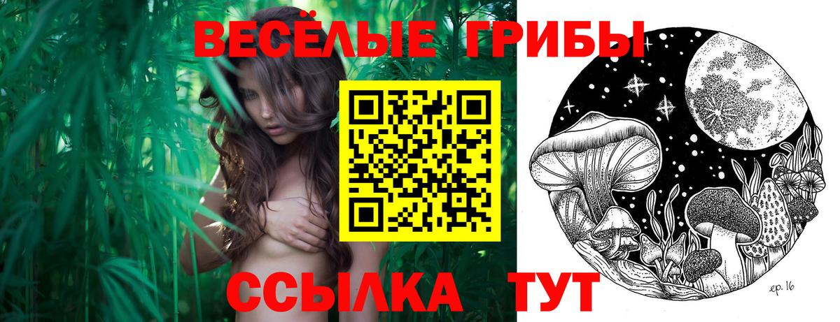 Галлюциногенные грибы Psilocybe Алатырь